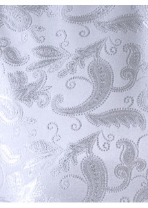 Westen-Set mit Paisleymuster: Weste, Plastron, Tuch Silber / Grau Ashford