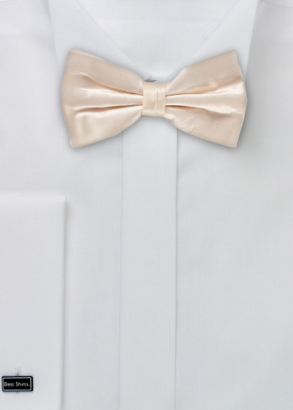 Fliege aus dem gleichen Stoff und Farbe