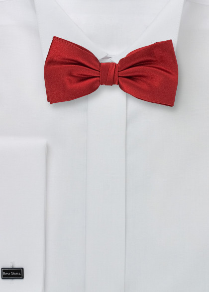 Fliege aus dem gleichen Stoff und Farbe