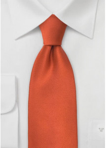 Herrenkrawatte in Limoges  terracotta – stilvoll und auffällig