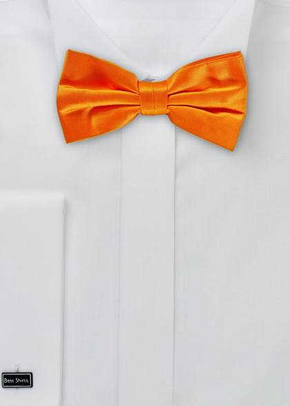 Fliege aus dem gleichen Stoff und Farbe