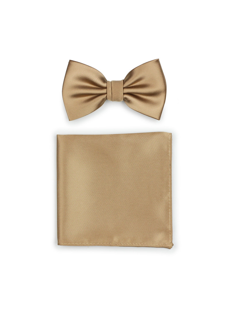 Herrenfliege und Einstecktuch in braun