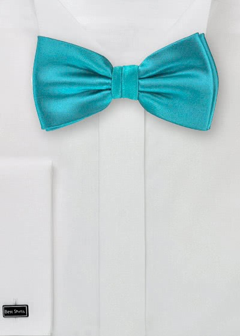 Fliege in türkisblau