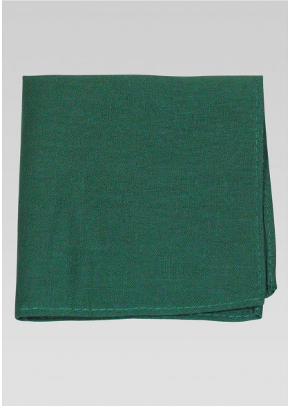 Einstecktuch aus dem gleichen Stoff und Farbe