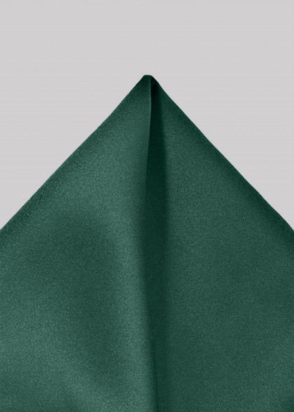 Einstecktuch aus dem gleichen Stoff und Farbe