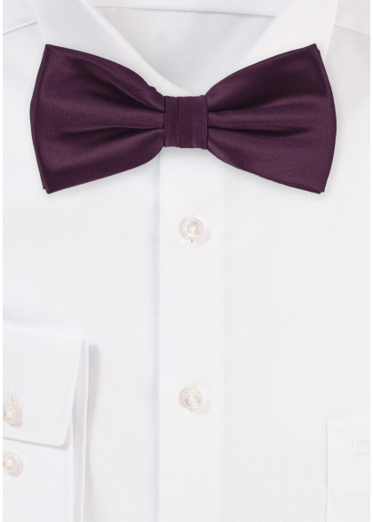 Elegante einfarbige Fliege in violett