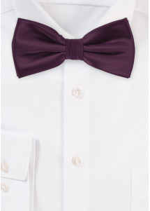 Elegante einfarbige Fliege in violett