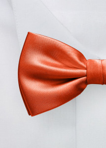 rostrote Fliege Detailbild