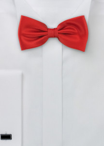 Fliege in rot aus Set