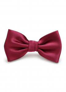 bordeauxrote exklusive Fliege