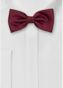 weinrote Fliege für Kinder aus Mikrofaser