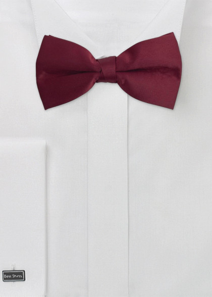 edle weinrote Fliege zum Selbstbinden