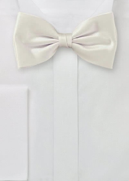 Fliege aus dem gleichen Stoff und Farbe