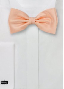 Fliege in lachs/rosa