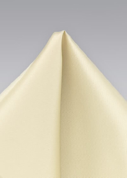 Einstecktuch aus dem gleichen Stoff und Farbe