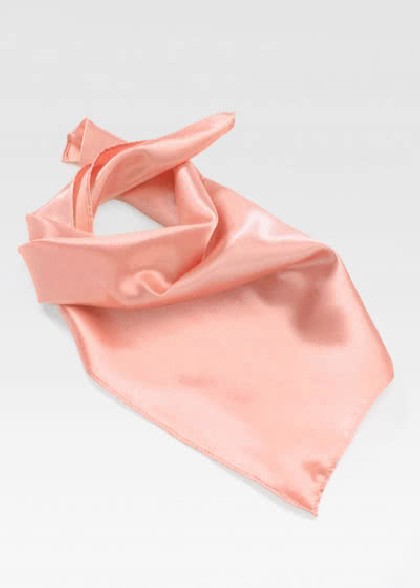 Halstuch aus dem gleichen Stoff und Farbe