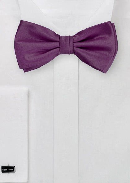 Fliege aus dem gleichen Stoff und Farbe