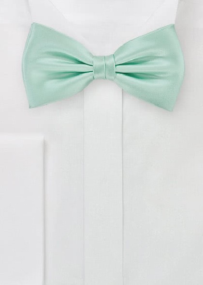 Fliege aus dem gleichen Stoff und Farbe