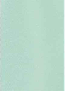 elegante Herren Krawatte Mintgrün Kunstfaser Detail