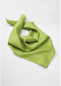 Grünes Halstuch Polyester