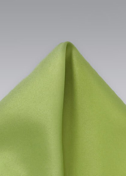 Einstecktuch aus dem gleichen Stoff und Farbe