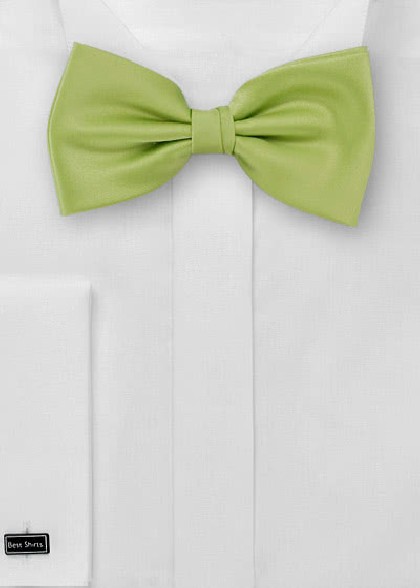 Fliege aus dem gleichen Stoff und Farbe