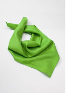 Damentuch limegreen in Seide