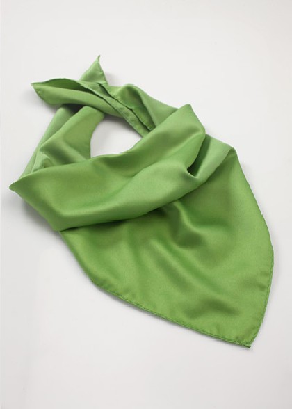 Halstuch aus dem gleichen Stoff und Farbe