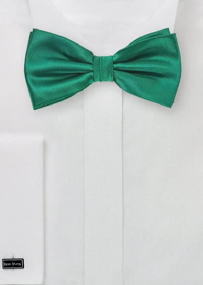 Fliege aus dem gleichen Stoff und Farbe