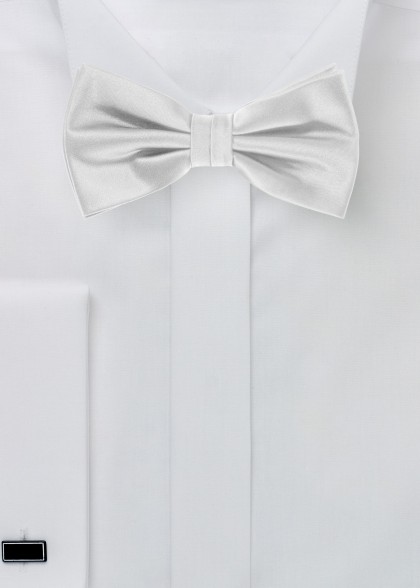 Fliege aus dem gleichen Stoff und Farbe