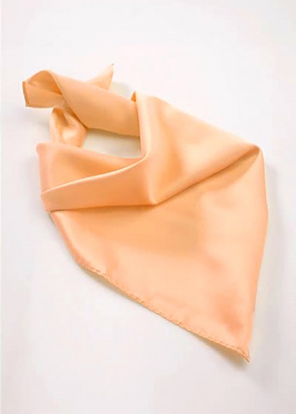 Halstuch aus dem gleichen Stoff und Farbe