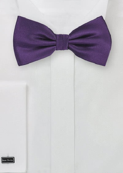 Fliege aus dem gleichen Stoff und Farbe