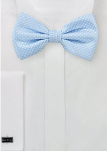 Hellblaue Fliege mit zarten Punkte 